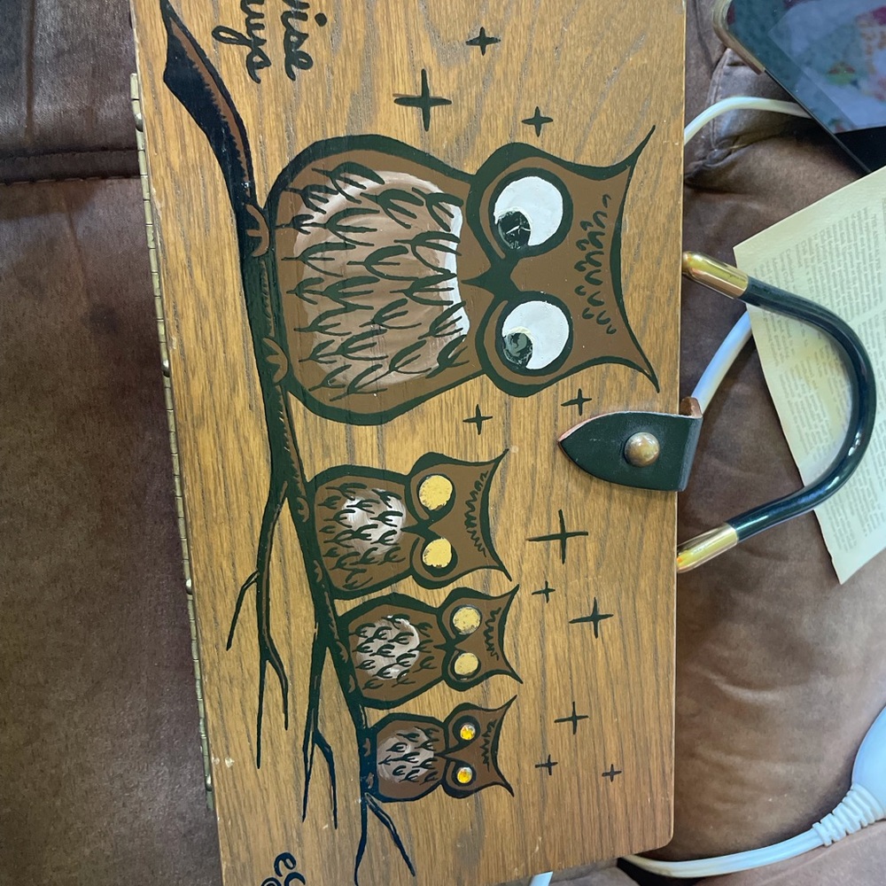 THE ORIGINAL BOX BAG BY ENID COLLINS “WISE GUYS” wearable art
Owl theme